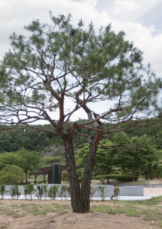 별그리다(별의숲) 시설 사진