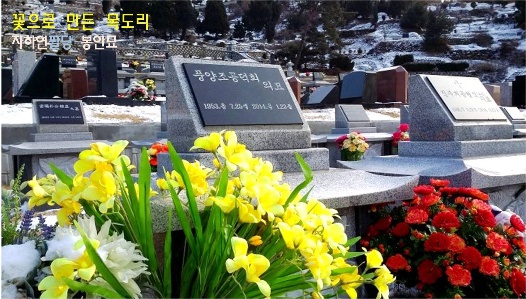 탑형2