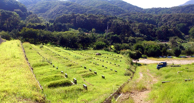 충현교회
