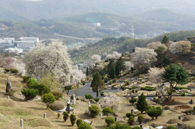 삼성개발공원묘원