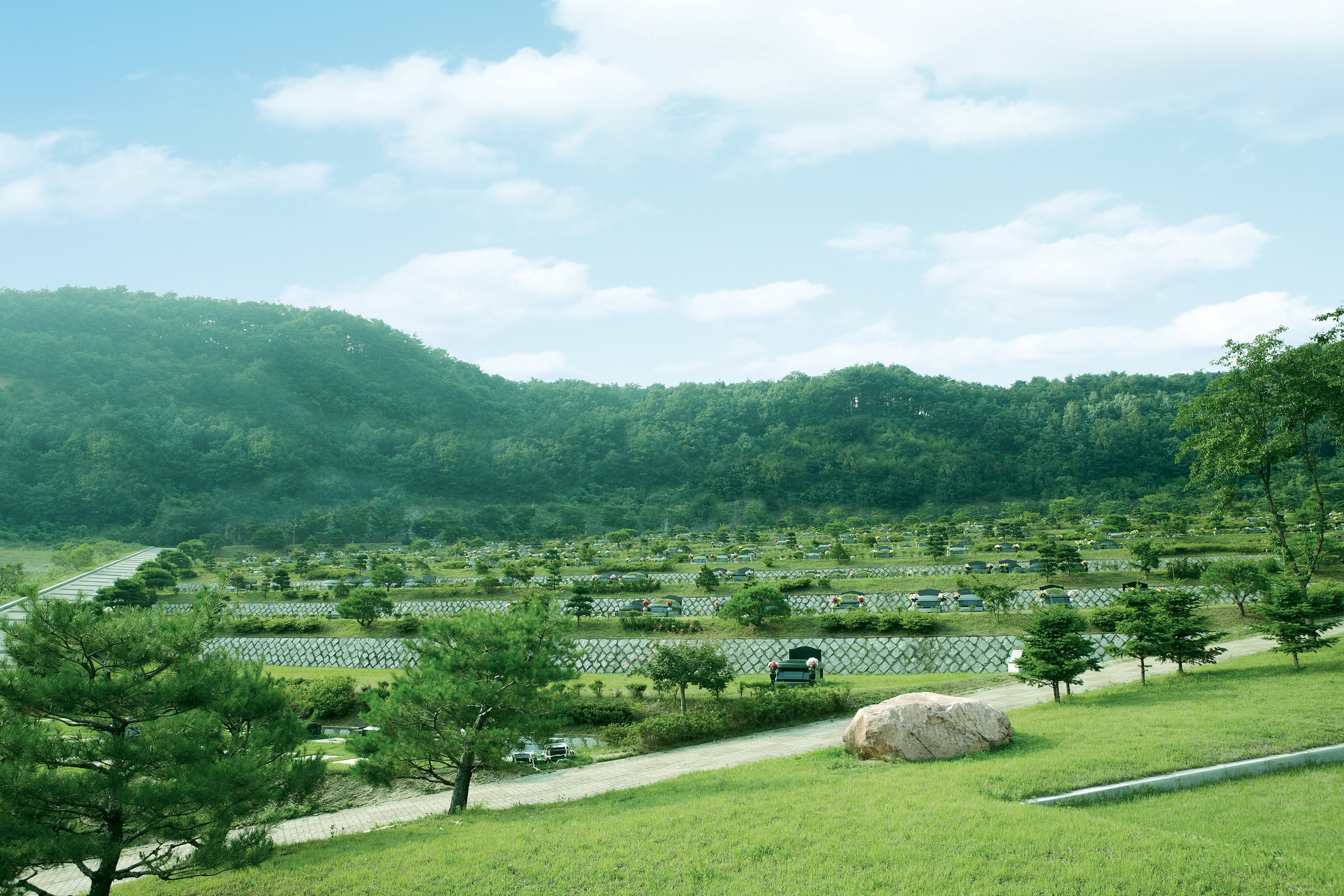 The Hill