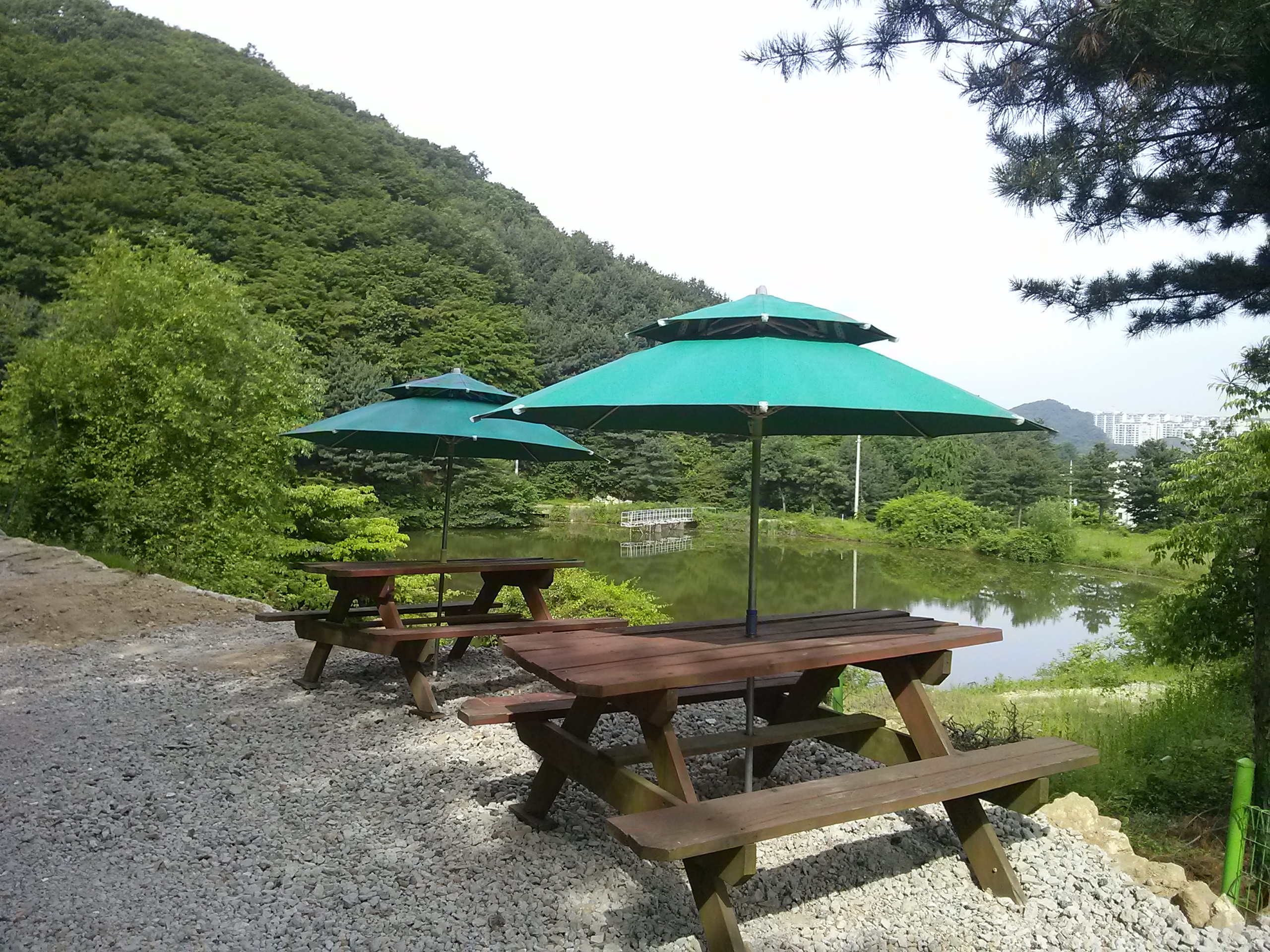 외부파라솔