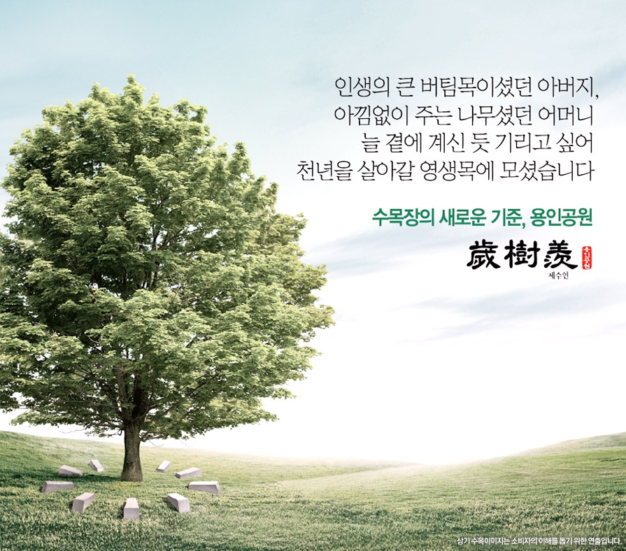 수목장(세수연)