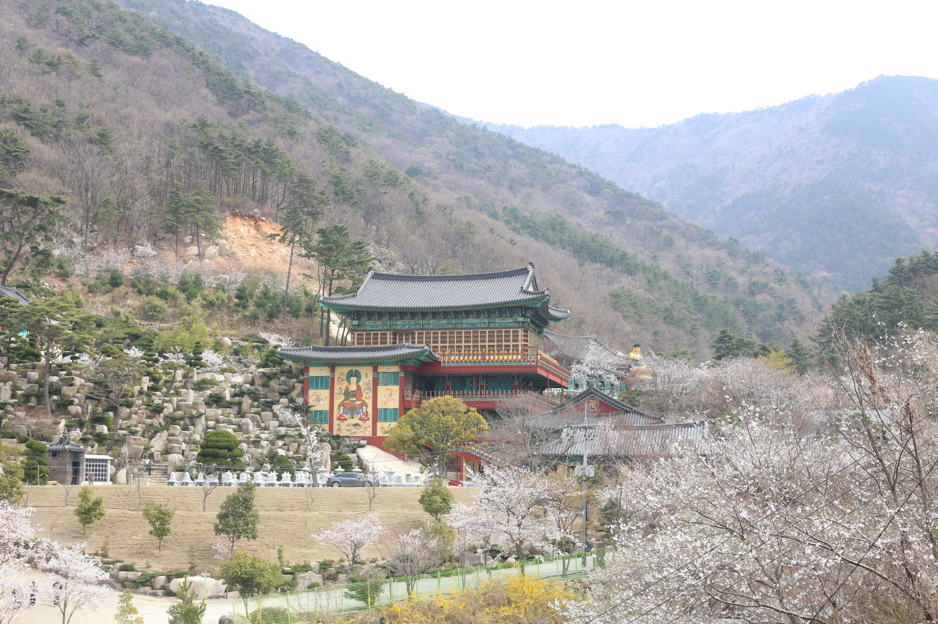 대한불교관음회조계종 백천사