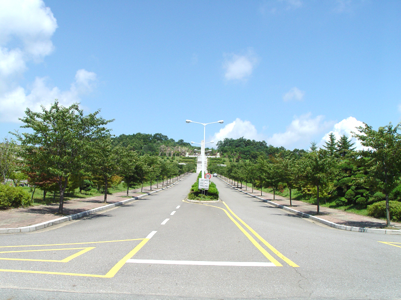 중앙도로