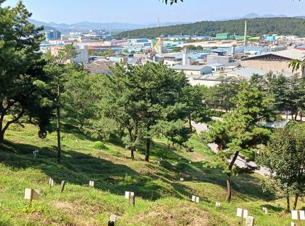 성산읍공설묘지 시설 사진