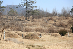 인산리공설묘지 시설 사진