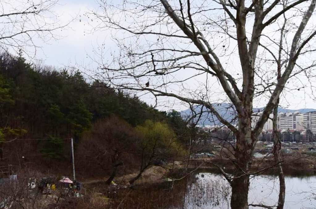 대구중부교회묘지 시설 사진