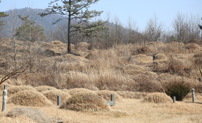 신암리공설묘지 시설 사진