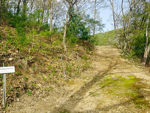 일월사추모공원(자연장지) 시설 사진