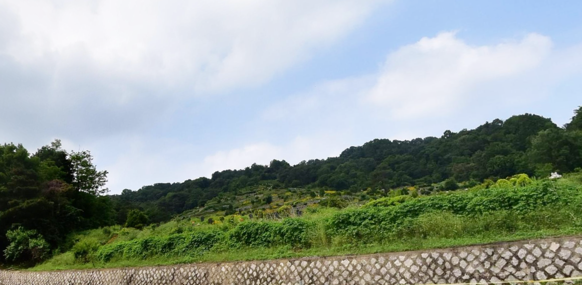 내유동공설묘지(만장) 시설 사진