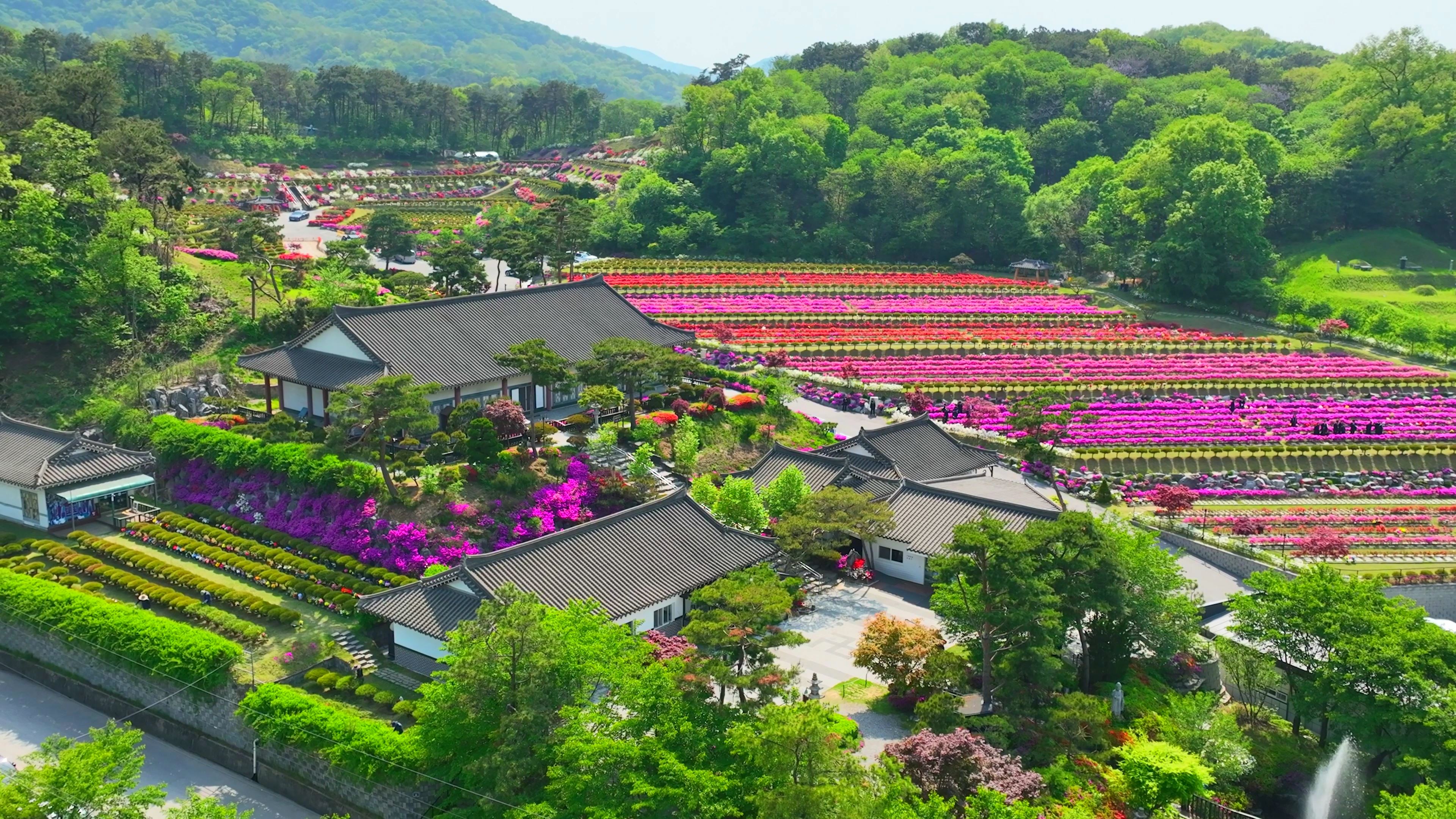 전경