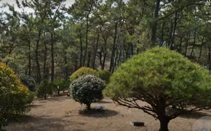 새소명교회동산 시설 사진
