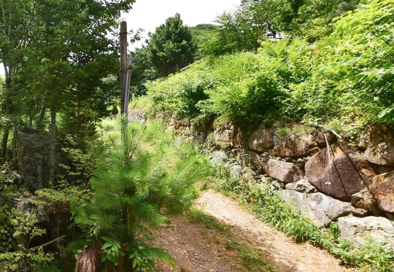 천불사 수목장 시설 사진